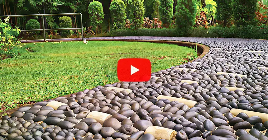 Adani Aurel Videos